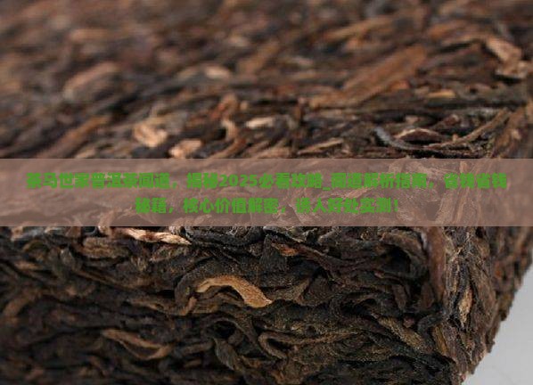 茶马世家普洱茶闻道