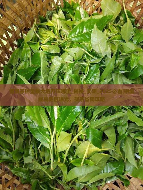 普洱茶销量最大地方在哪里