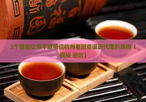 杭州老班章渠道代理招商