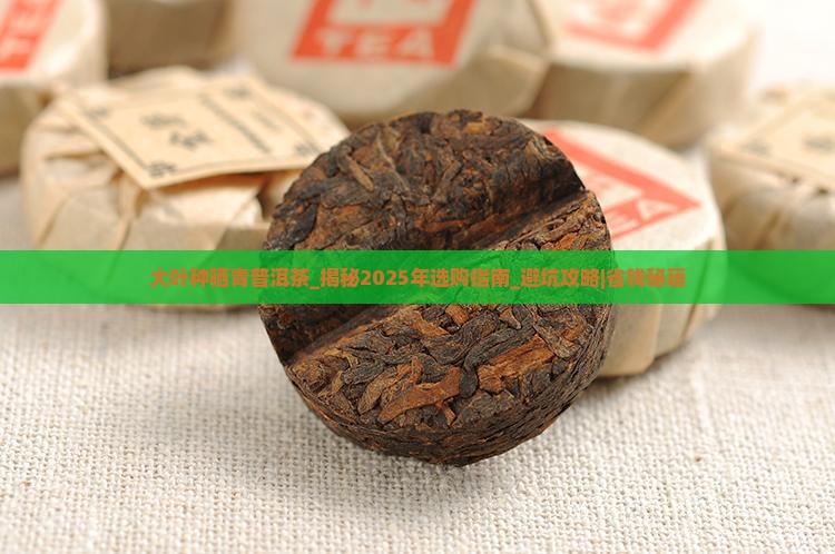 大叶种晒青普洱茶