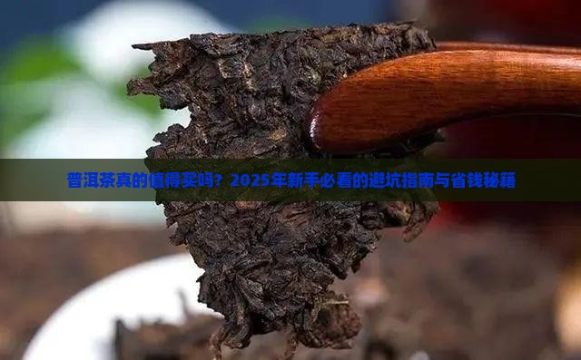 普洱茶单品介绍