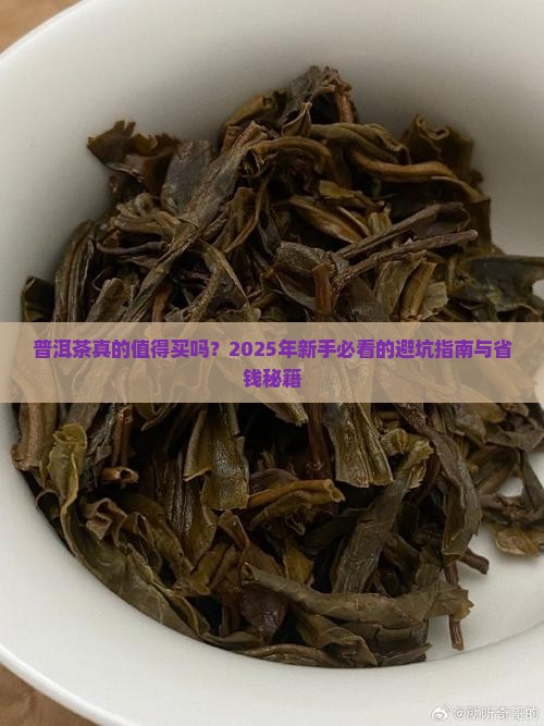 普洱茶单品介绍