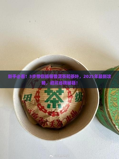 什么是普洱茶和茶叶