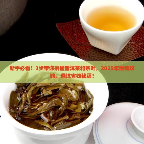 什么是普洱茶和茶叶