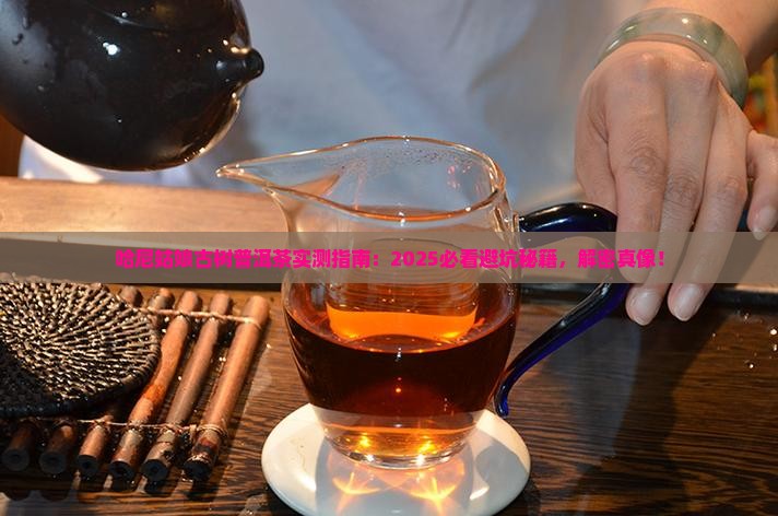 哈尼姑娘古树普洱茶