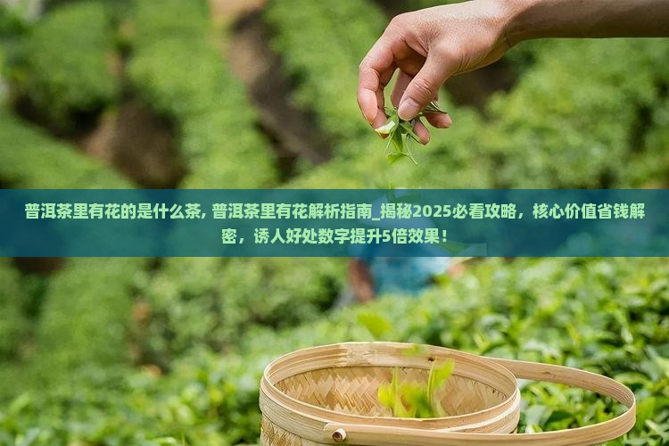 普洱茶里有花的是什么茶