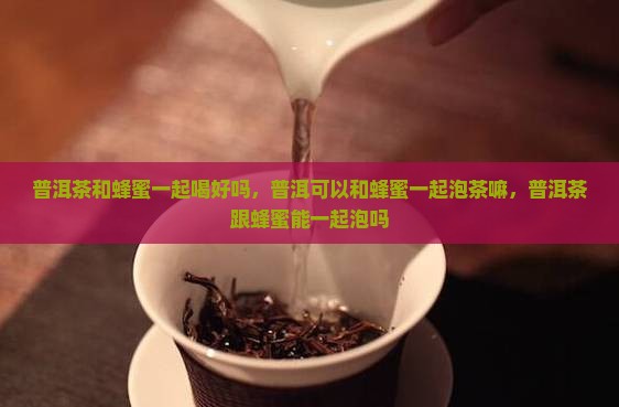 普洱茶和蜂蜜一起喝好吗