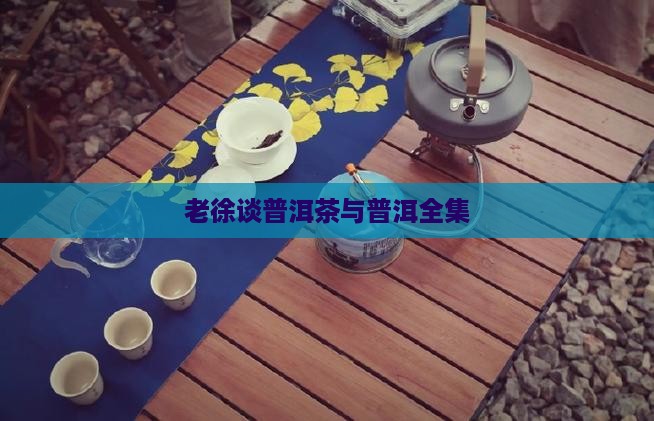 老徐谈普洱茶全集