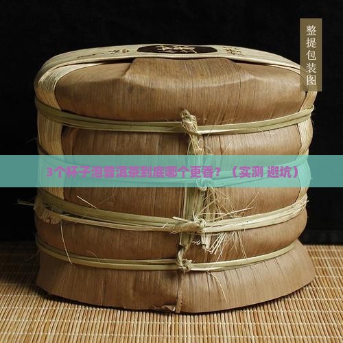 普洱茶用什么器皿冲泡