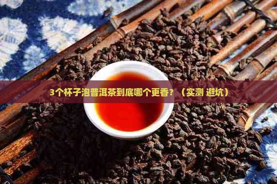 普洱茶用什么器皿冲泡