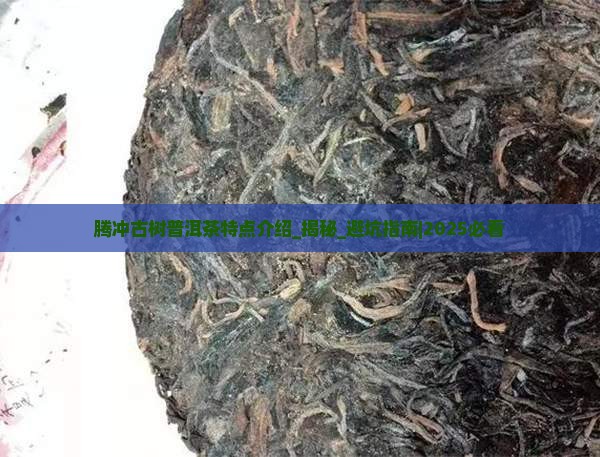 腾冲古树普洱茶特点介绍