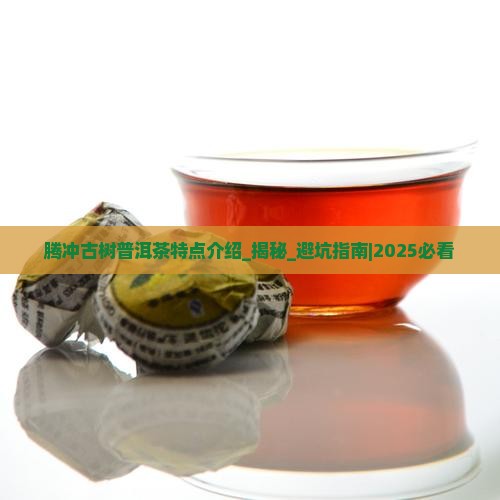 腾冲古树普洱茶特点介绍