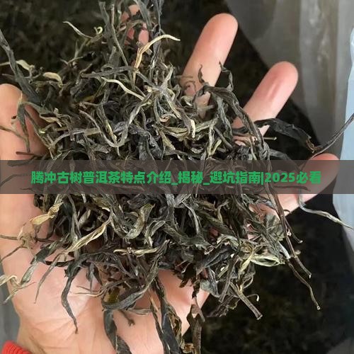 腾冲古树普洱茶特点介绍