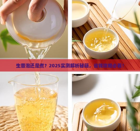 生普适合泡还是煮