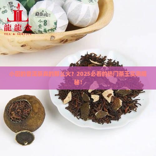 热门普洱茶小田