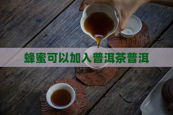 蜂蜜加入普洱茶