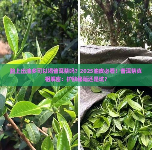 脸上出油多可以喝普洱茶吗 脸上出油多可以喝普洱茶吗