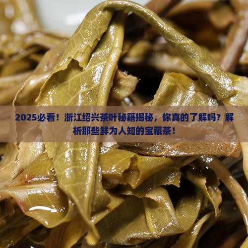 浙江绍兴产什么茶叶
