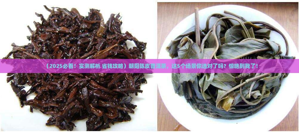 朝阳陈皮普洱茶