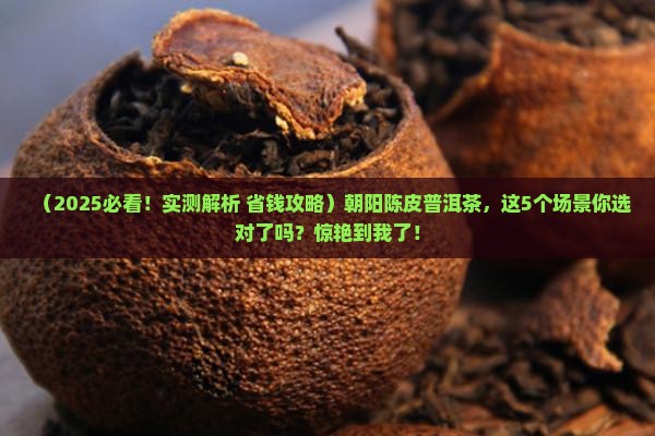 朝阳陈皮普洱茶
