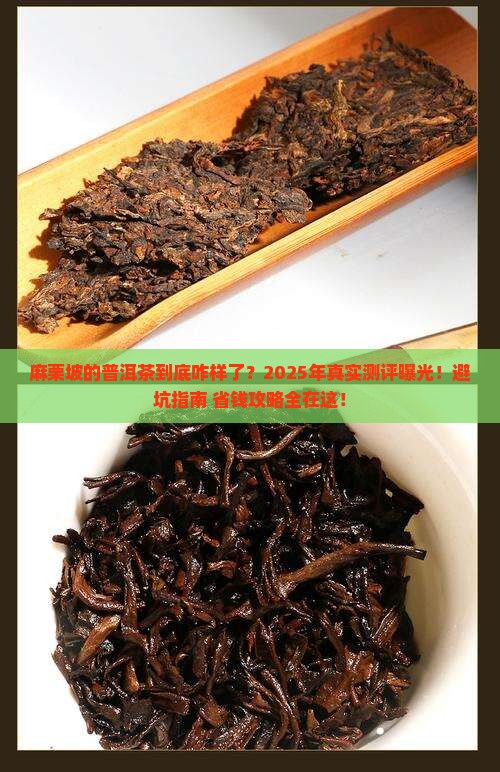 麻栗坡的普洱茶怎么样了