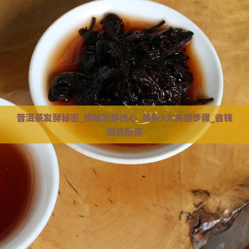普洱茶发酵秘密