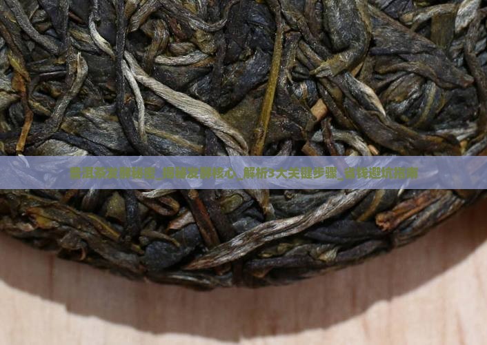 普洱茶发酵秘密