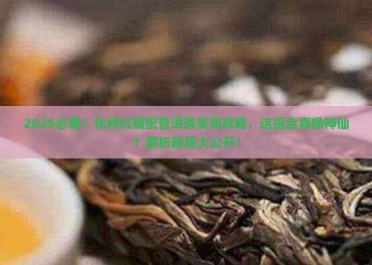 化州红橘配普洱茶