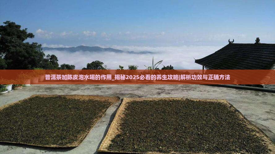 普洱茶加陈皮泡水喝的作用