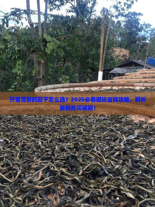 开普洱茶的起子
