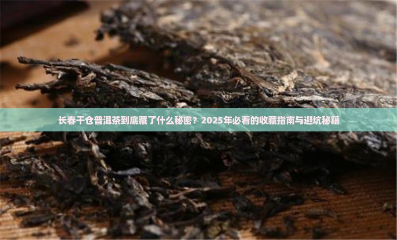 长春干仓普洱茶