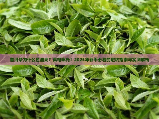 普洱茶为什么色油亮