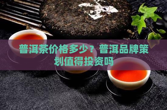 普洱茶品牌策划价格高吗