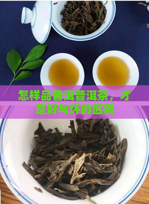 普洱怎么品好坏