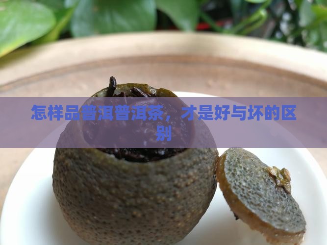 普洱怎么品好坏
