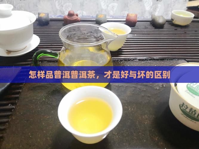 普洱怎么品好坏