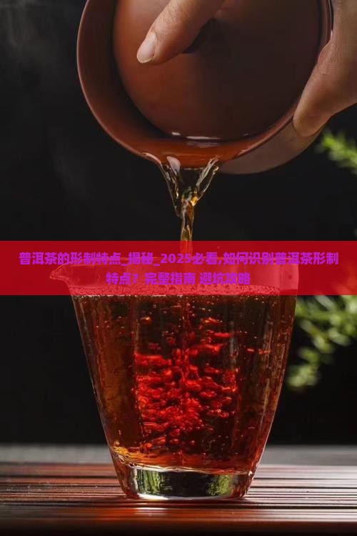 普洱茶的形制特点