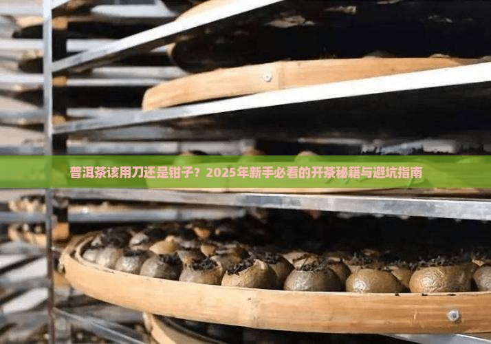 普洱茶用刀还是用钳子