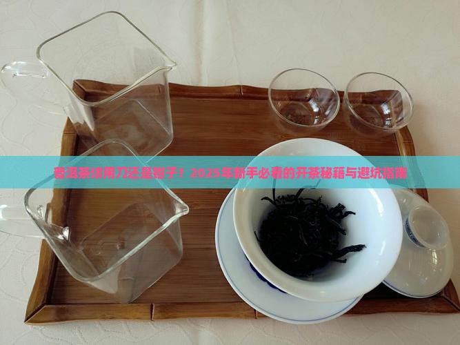 普洱茶用刀还是用钳子