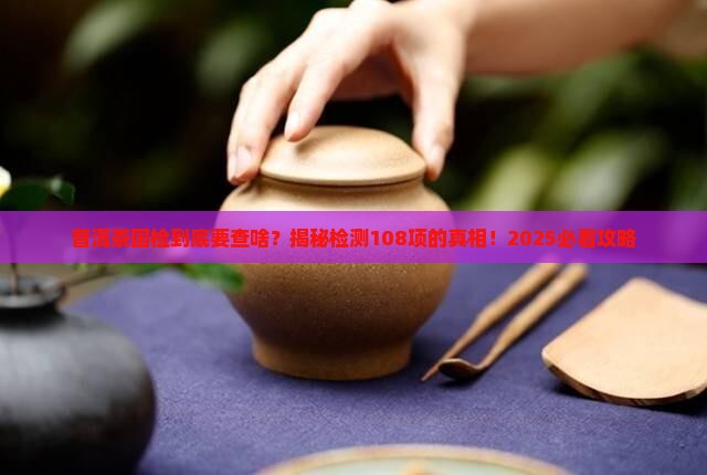 普洱茶国检要检测多少项