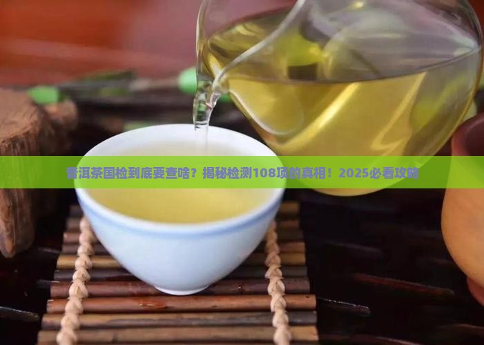 普洱茶国检要检测多少项
