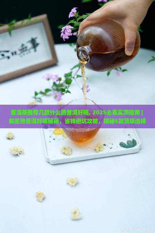 普洱茶推荐几款什么熟普洱好喝