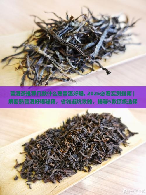 普洱茶推荐几款什么熟普洱好喝