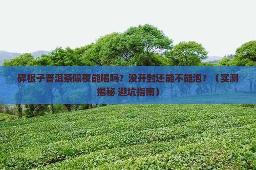 碎银子普洱茶隔夜能喝吗没开封