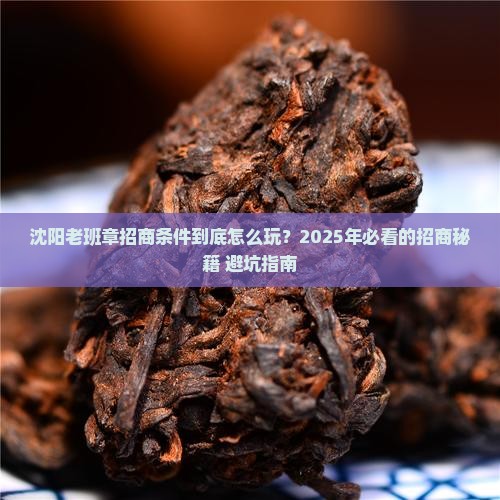 沈阳老班章招商条件