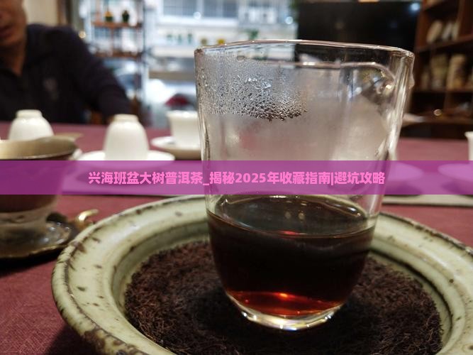 兴海班盆大树普洱茶