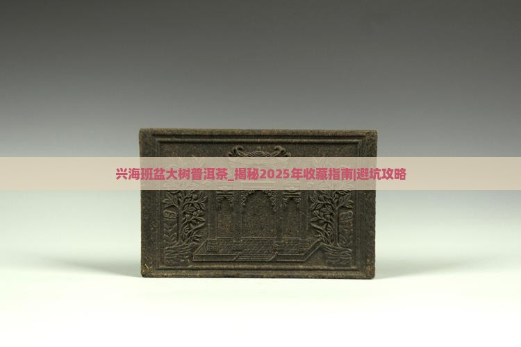 兴海班盆大树普洱茶
