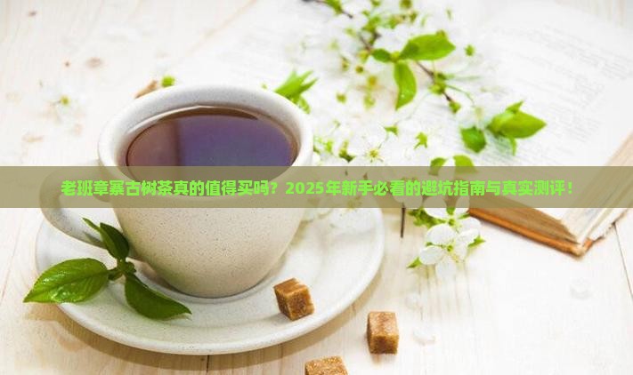 老班章寨古树茶的特征