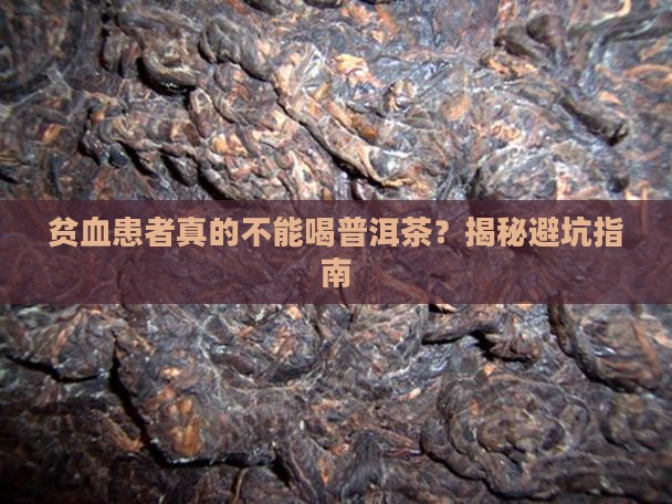 贫血不能喝普洱茶