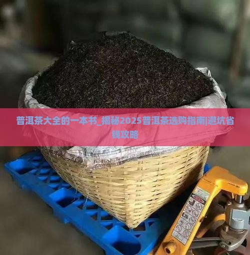 普洱茶大全的一本书